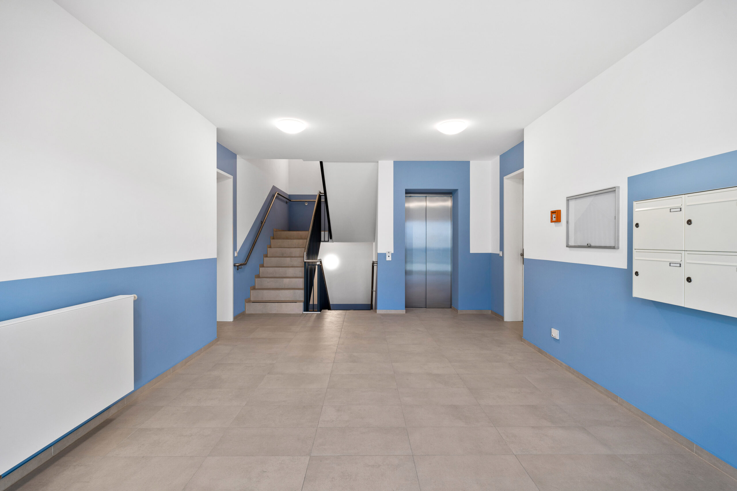 2024-12-20_030-Havelstr-Birkenwerder-15